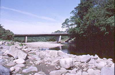 Diamond Oak Bridge