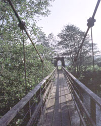Greystead Footbridge