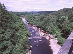 Lambley Footbridge from the viaduct