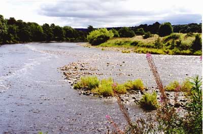 The Meeting Of The Waters
