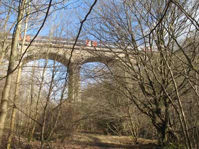 Plessey Viaduct