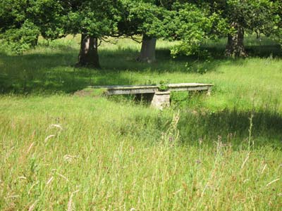 Eslington Park Footbridge West