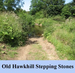 Old Hawkshill Stepping Stones