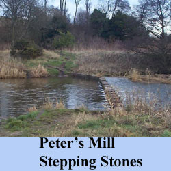 Peter's Mill Stepping Stones