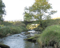 Ridlees Burn Bridge