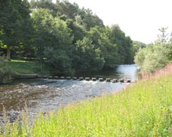 Rothbury Stepping Stones